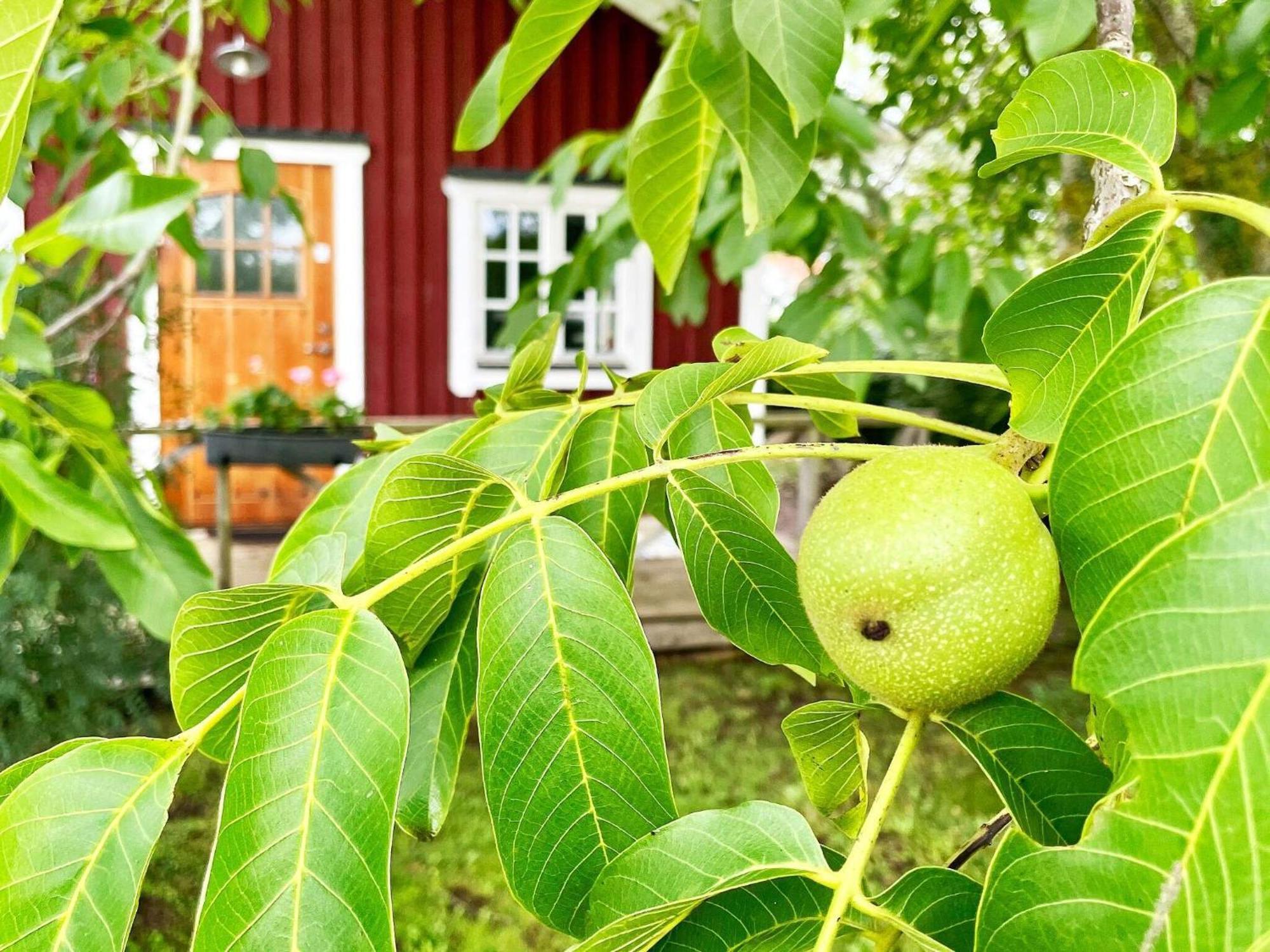 Holiday Home Malaretorpsvaegen Борихолм Екстериор снимка